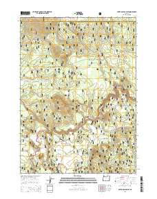2014 Map of Silver Dollar Flat, 2014 Print