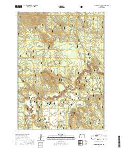 2020 Map of Silver Dollar Flat, 2020 Print