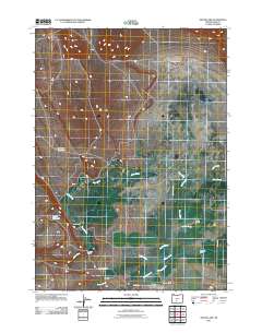 2011 Map of Silver Lake, 2011 Print