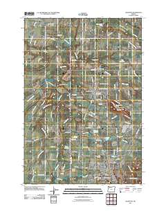 2011 Map of Silverton, 2011 Print