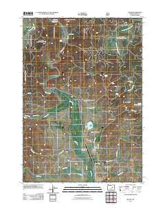 2011 Map of Silvies, 2011 Print