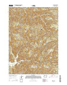2014 Map of Sitkum, 2014 Print