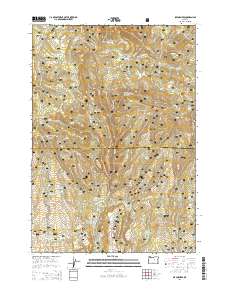 Thumbnail JPG image of map