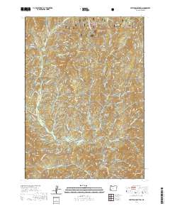 2020 Map of Skeleton Mountain, 2020 Print