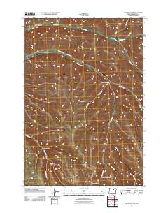 2011 Map of Skinners Fork, 2011 Print