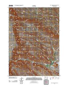 2011 Map of Skull Creek Butte, 2011 Print