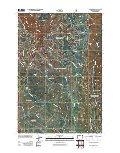 2011 Map of Sled Springs, 2011 Print
