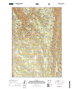 2020 Map of Sled Springs, 2020 Print