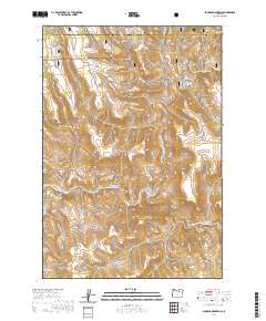 2020 Map of Slickear Mountain, 2020 Print