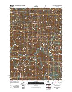2011 Map of Smith River Falls, 2011 Print