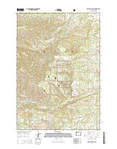 2014 Map of Socialist Valley, 2014 Print