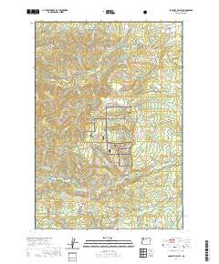 2020 Map of Socialist Valley, 2020 Print
