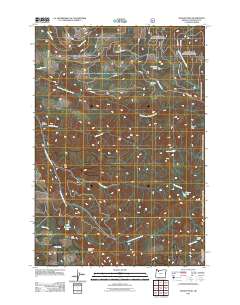 2011 Map of Soosap Peak, 2011 Print