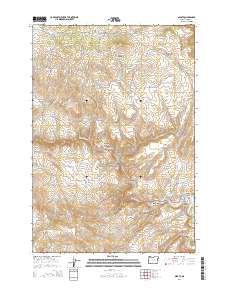 2014 Map of Sparta, 2014 Print
