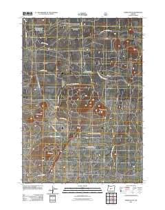 2011 Map of Spring Butte, 2011 Print