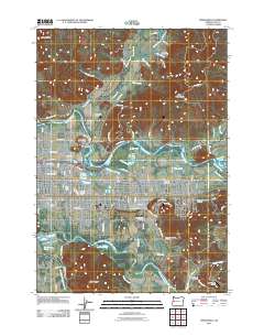 2011 Map of Springfield, 2011 Print