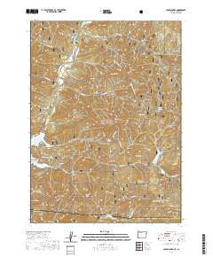 2020 Map of Mule Mountain, 2020 Print