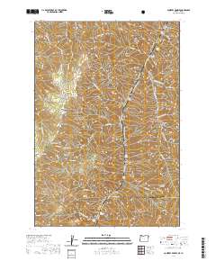 2020 Map of Squirrel Prairie, 2020 Print
