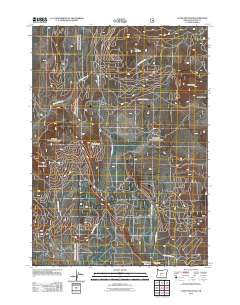 2011 Map of Stams Mountain, 2011 Print
