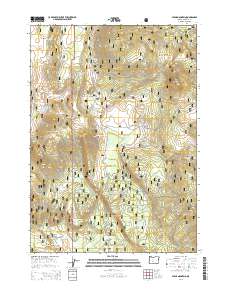 2014 Map of Stams Mountain, 2014 Print