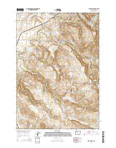 2014 Map of Stayton NE, 2014 Print