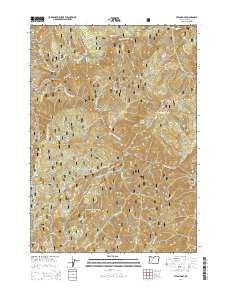 2014 Map of Steamboat, 2014 Print