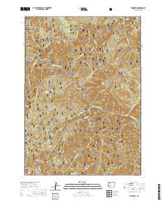 2020 Map of Steamboat, 2020 Print