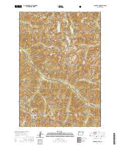 2020 Map of Steamboat Lake, 2020 Print