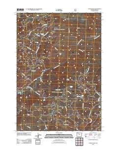 2011 Map of Steins Pillar, 2011 Print