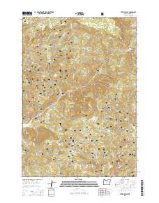 2014 Map of Steins Pillar, 2014 Print