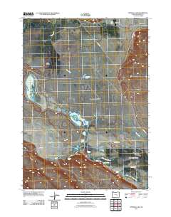 2011 Map of Stinking Lake, 2011 Print
