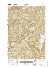 2014 Map of Stony Mountain, 2014 Print