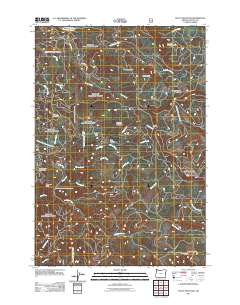 2011 Map of Stott Mountain, 2011 Print