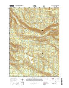 2014 Map of Substitute Point, 2014 Print
