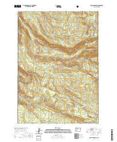 2020 Map of Substitute Point, 2020 Print