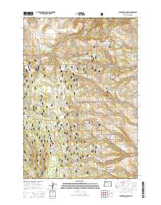 2014 Map of Sugarbowl Creek, 2014 Print