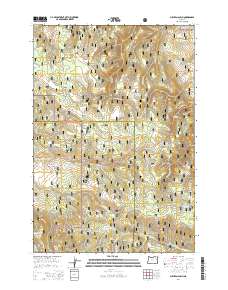 2014 Map of Sullivan Gulch, 2014 Print