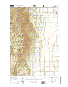 2014 Map of Summerville, 2014 Print