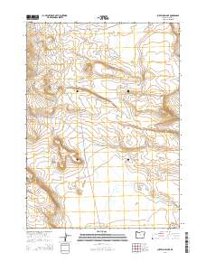 2014 Map of Surveyors Lake, 2014 Print