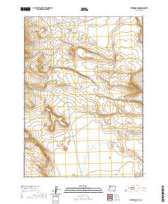 2020 Map of Surveyors Lake, 2020 Print