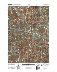 2011 Map of Susanville, 2011 Print