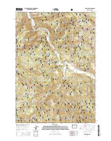 2014 Map of Susanville, 2014 Print