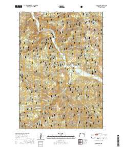 2020 Map of Susanville, 2020 Print