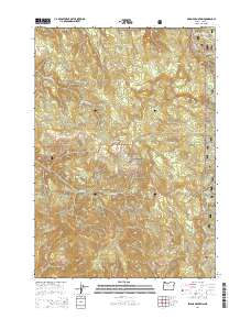 2014 Map of Swamp Mountain, 2014 Print