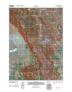2011 Map of Swan Lake, 2011 Print