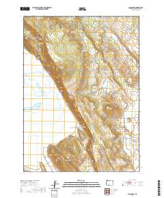 2020 Map of Swan Lake, 2020 Print