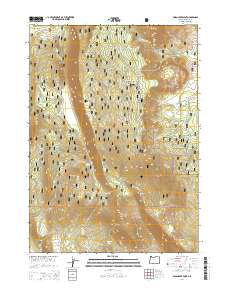 2014 Map of Swan Lake Point, 2014 Print