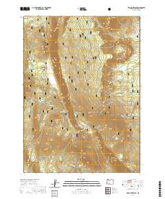 2020 Map of Swan Lake Point, 2020 Print
