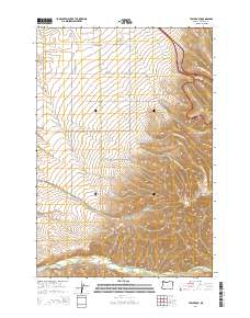 2014 Map of Table Rock, 2014 Print