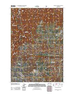 2011 Map of Tamarack Gulch, 2011 Print